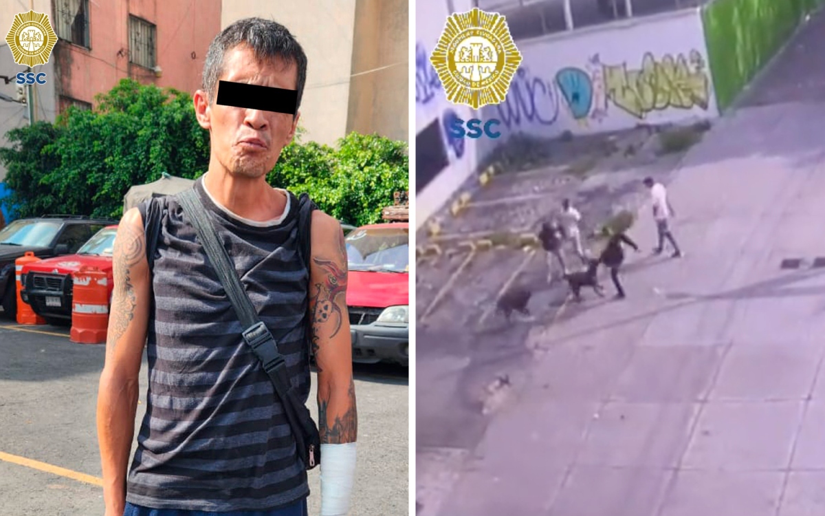 Video | Asaltante mata a perro que defendía a su dueño; policía lo detiene