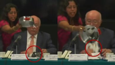 Video | '¡Destape la cloaca!', diputada lanza ratas de plástico a titular de la ASF
