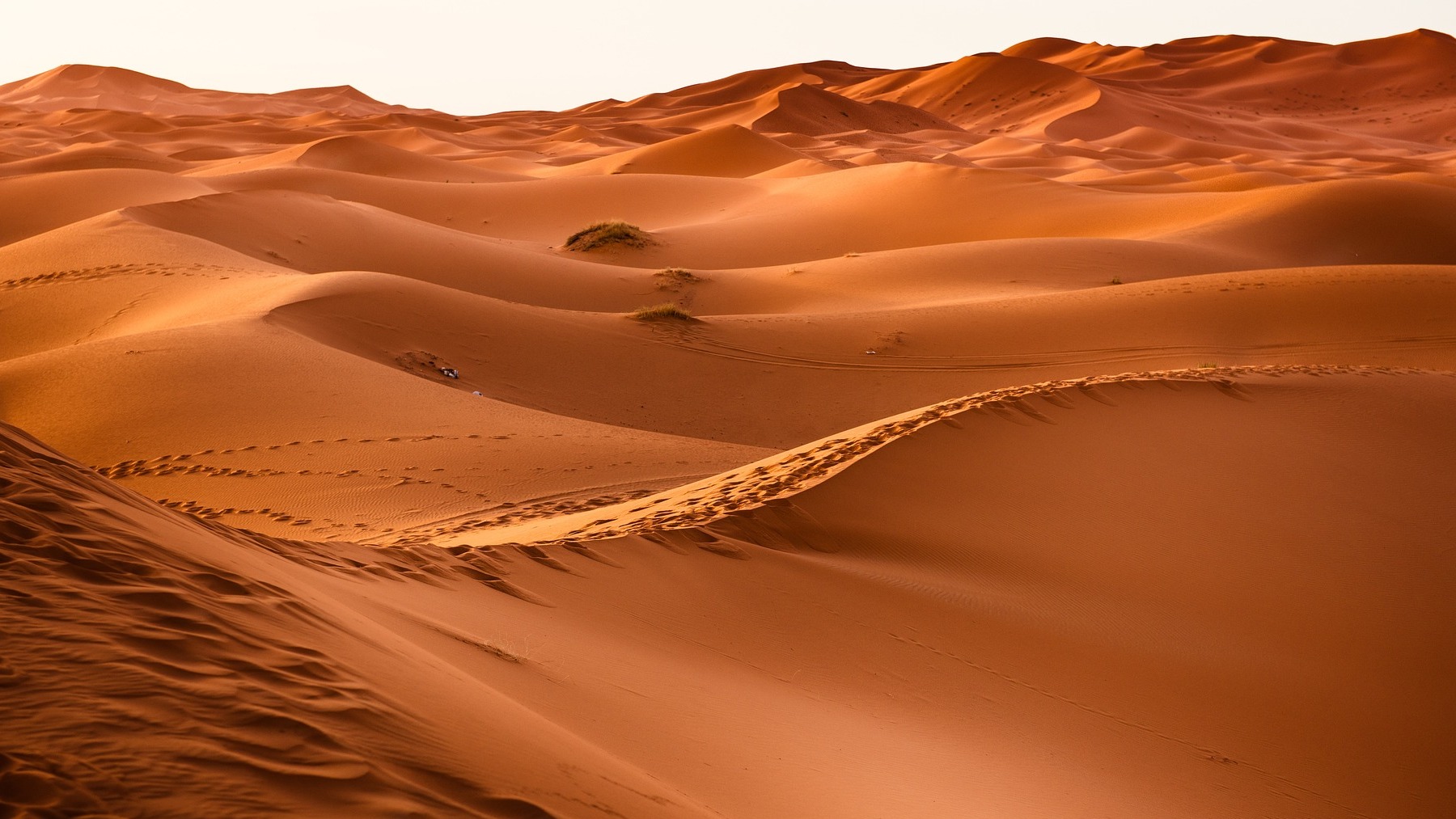 alcanza los 70 grados y es una tortura