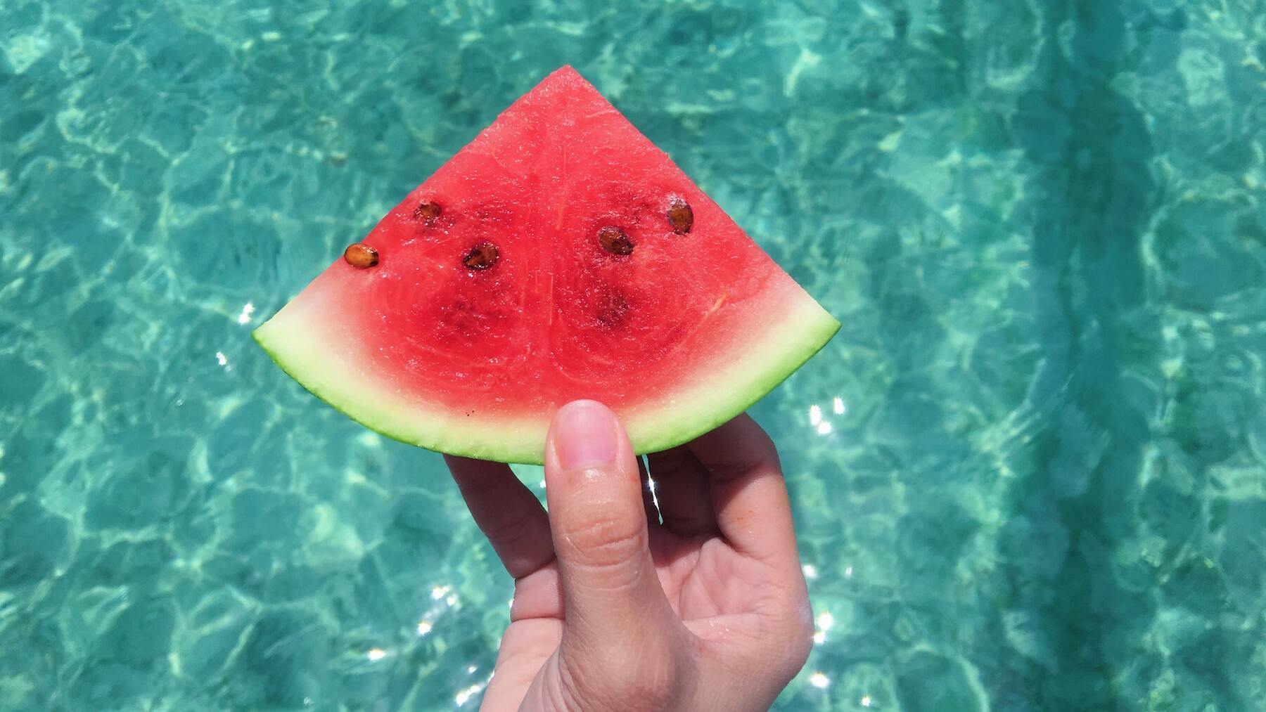 están desapareciendo por este motivo