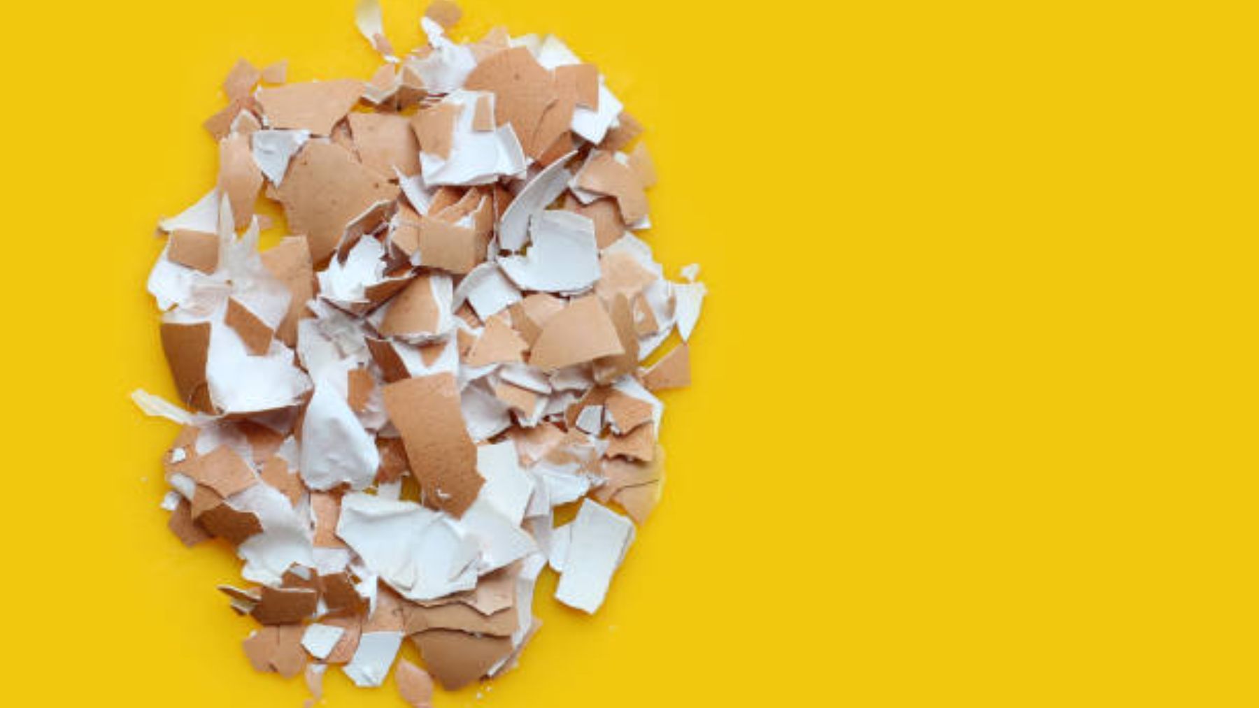 la razón por la que debes meter cáscaras de huevo en la lavadora