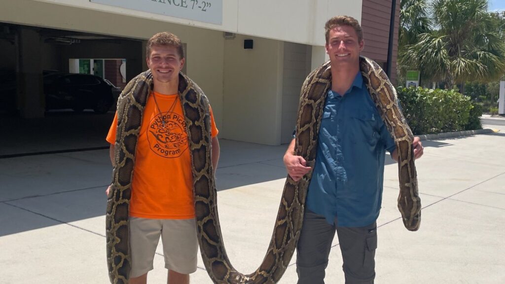 residente de Naples halla gigantesca pitón