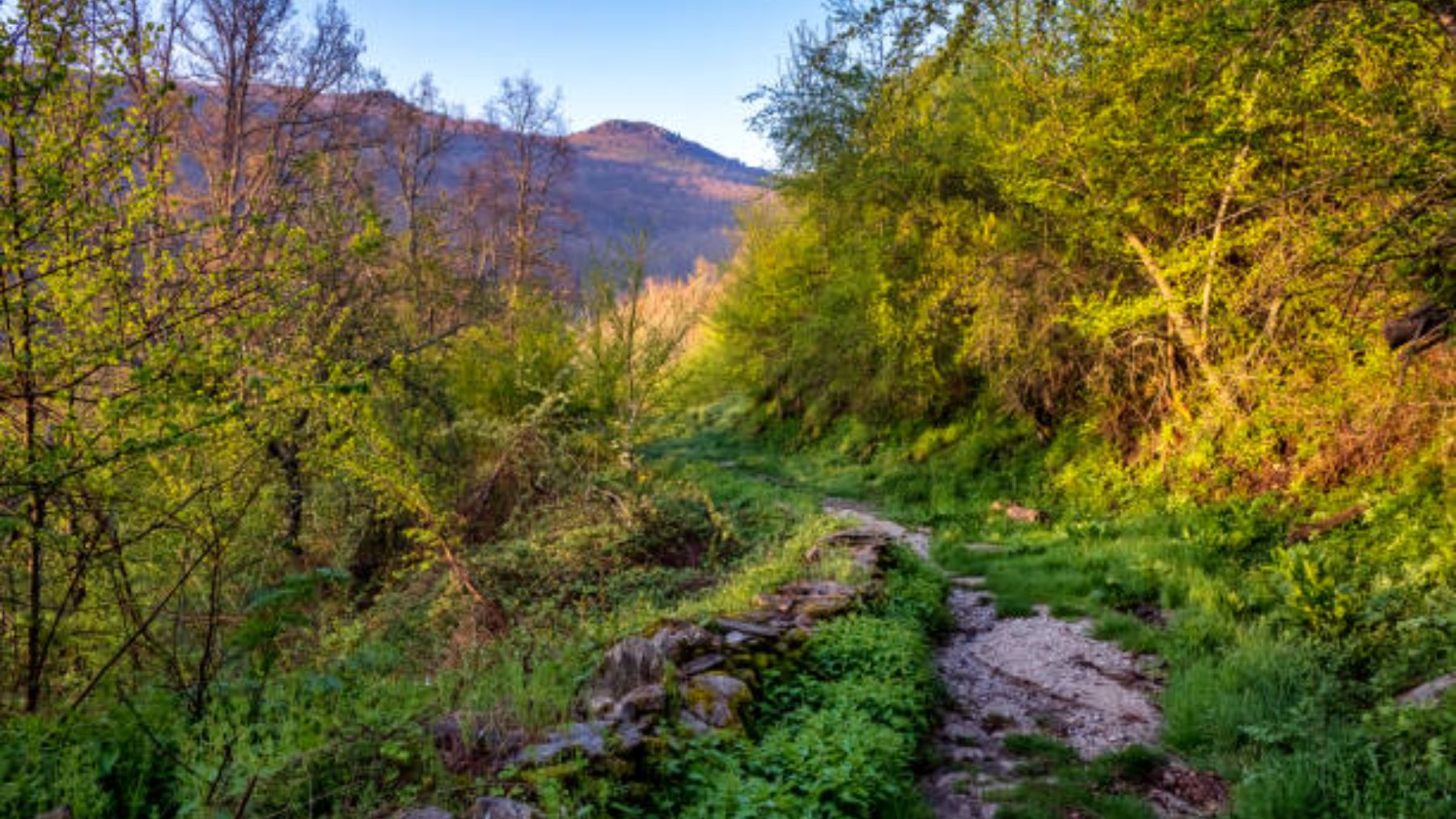 un planazo para el fin de semana