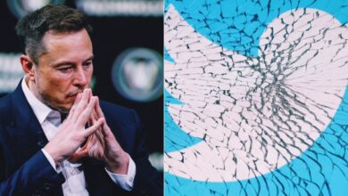 ¿Se acerca el final de Twitter? Musk revela caída del 50% en ingresos publicitarios