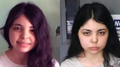 ¿cómo fue localizada Alicia Navarro?