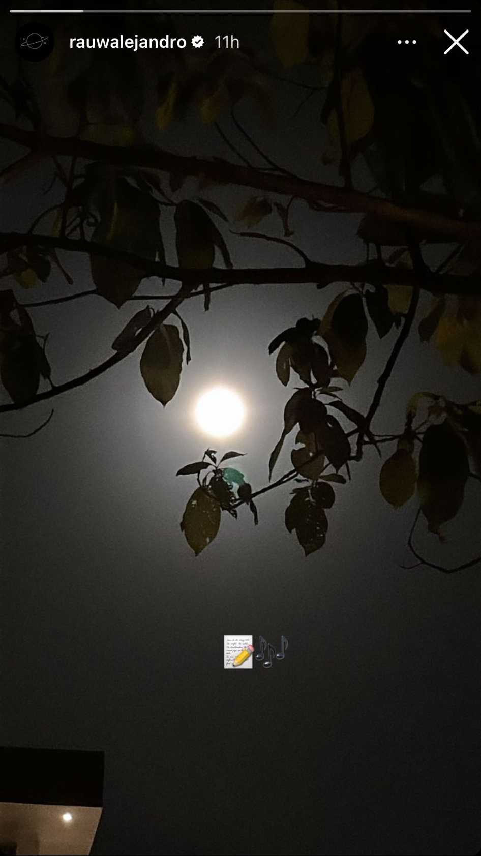 Stories de Instagram de Rauw Alejandro / Instagram