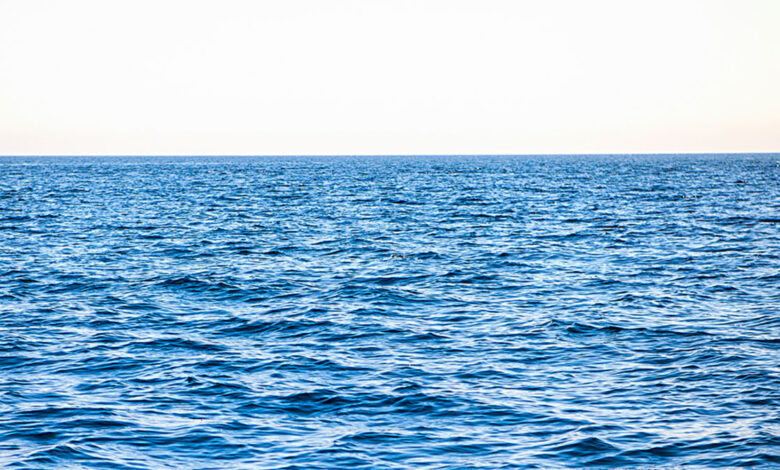 5 muertos en Bahía de Tampa por bacteria comecarne en 2023