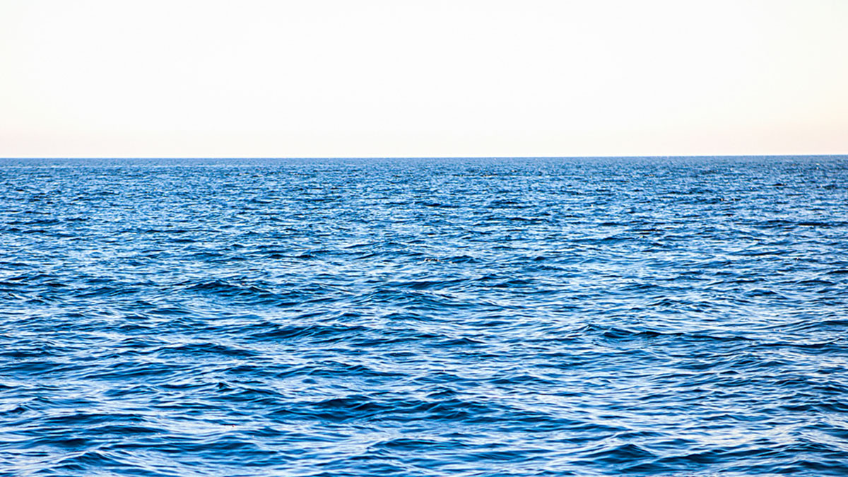 5 muertos en Bahía de Tampa por bacteria comecarne en 2023