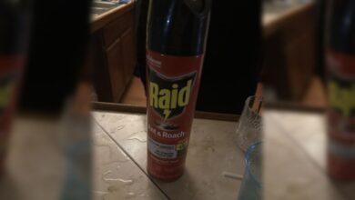 Acusan mujer de Volusia de envenenar a su pareja con Raid