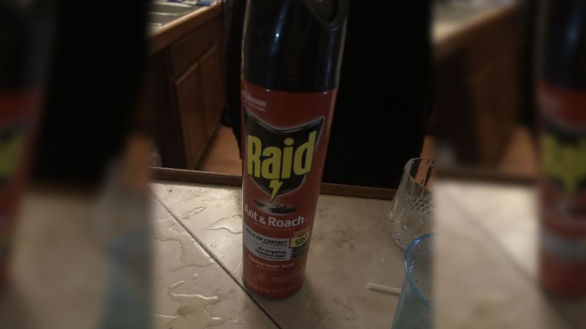 Acusan mujer de Volusia de envenenar a su pareja con Raid