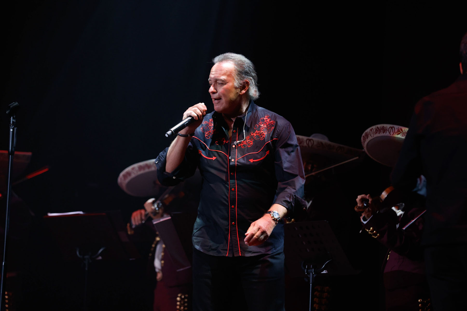 Bertín Osborne, en un concierto / Gtres