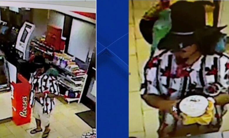 Buscan a sospechoso de robo visto con loros en el condado Fairfax