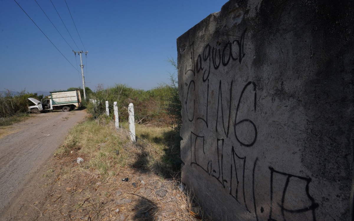 Cárteles mexicanos tienen influencia en Brasil: Agencia de Inteligencia