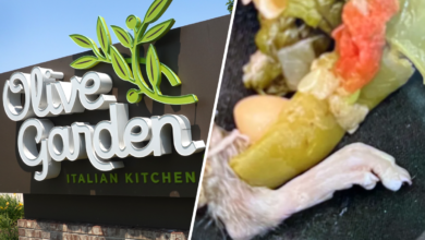 Cliente de Olive Garden descubre pata de rata en su sopa: demanda