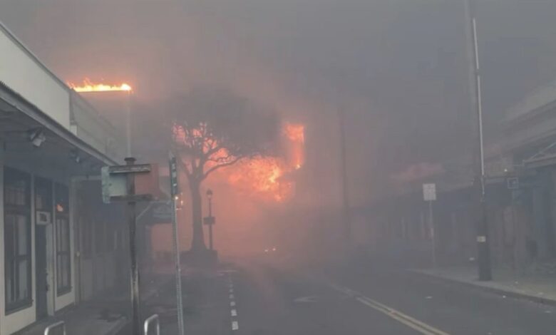 Cómo ayudar a los afectados por los incendios forestales en Hawaii