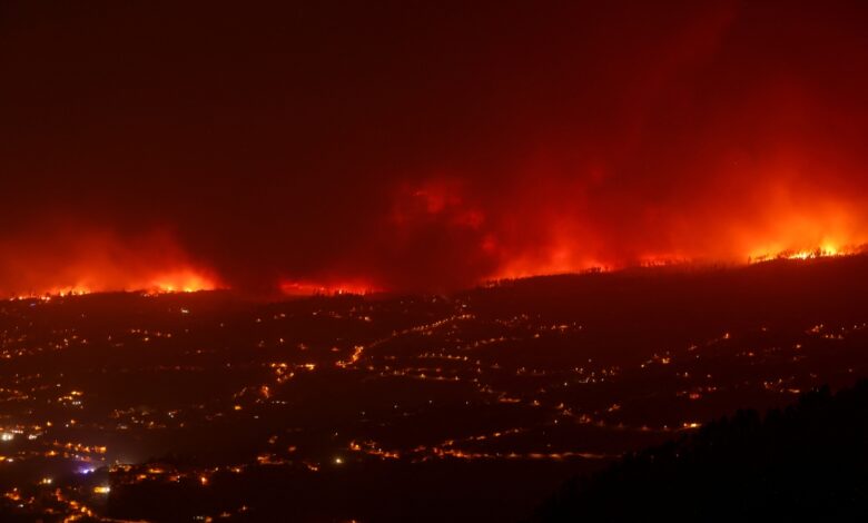 Declaran 'zona catastrófica' por incendio en Tenerife, España