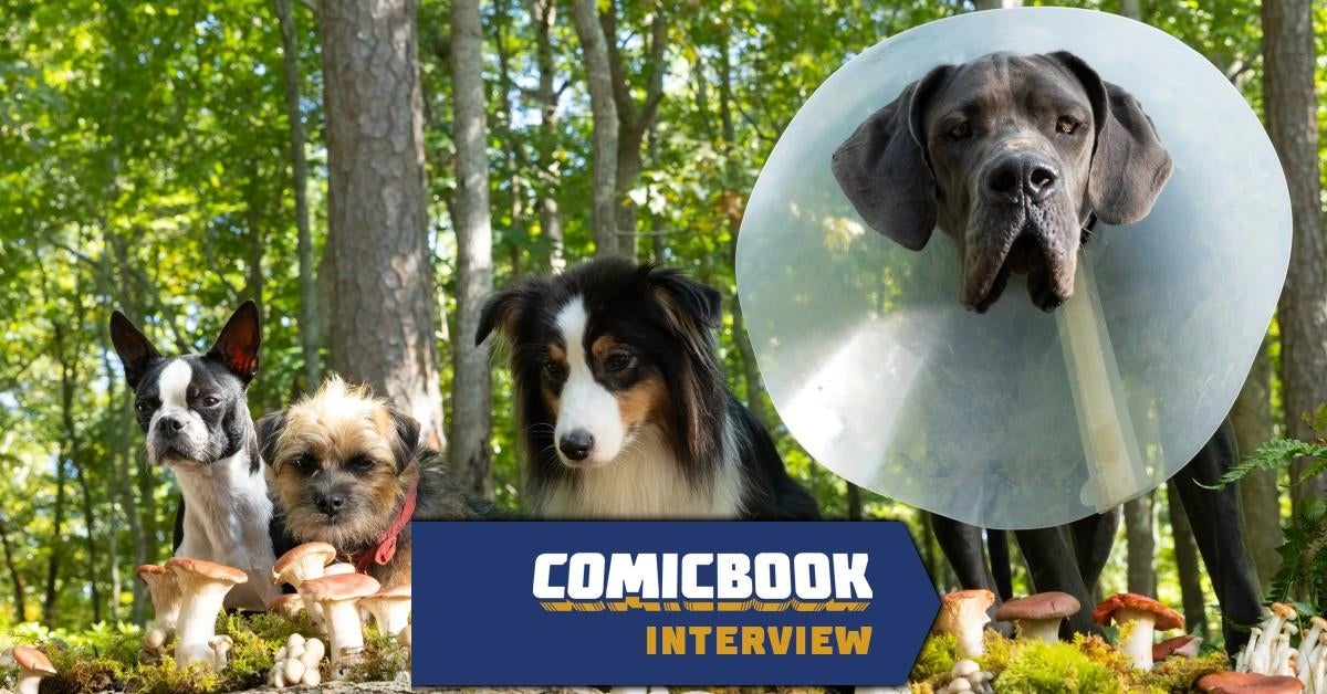 El director de Strays explica el proceso de hacer coincidir los perros con el elenco de voces