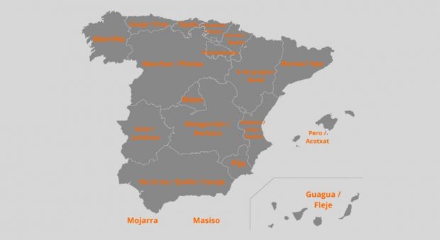 mapa palabras