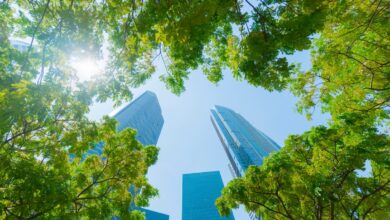 El prestamista de criptomonedas Maple Finance recauda 5 millones de dólares para ingresar a Asia en medio de claridad regulatoria