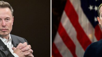 Elon Musk dice que en realidad va a pelear contra Mark Zuckerberg;  por favor, perdóname