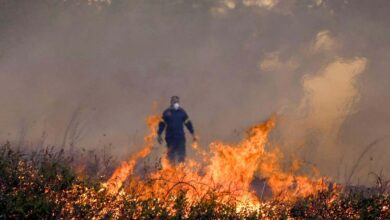 Grecia: Bomberos combaten incendios avivados por vientos