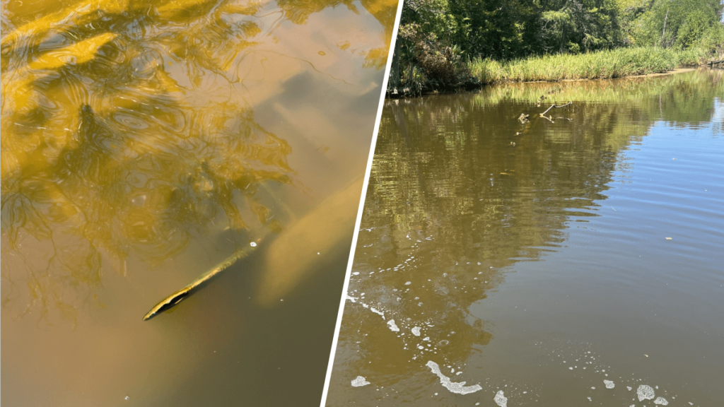 Hallan 5 barcos de la Primera Guerra Mundial en un río de Texas