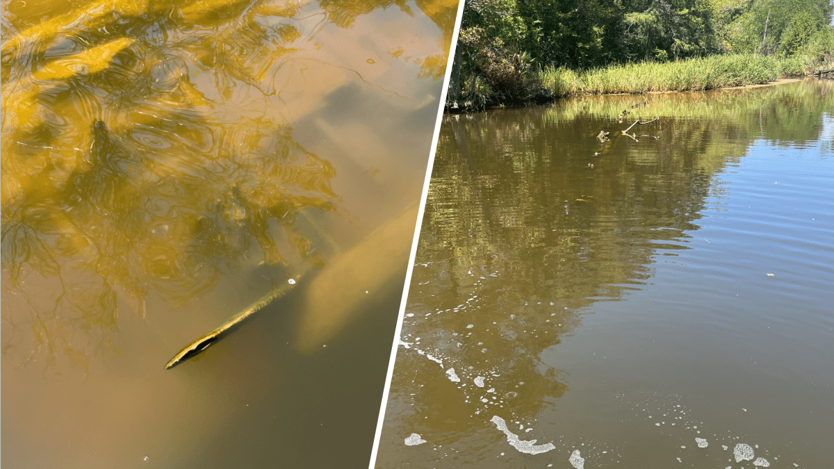 Hallan 5 barcos de la Primera Guerra Mundial en un río de Texas