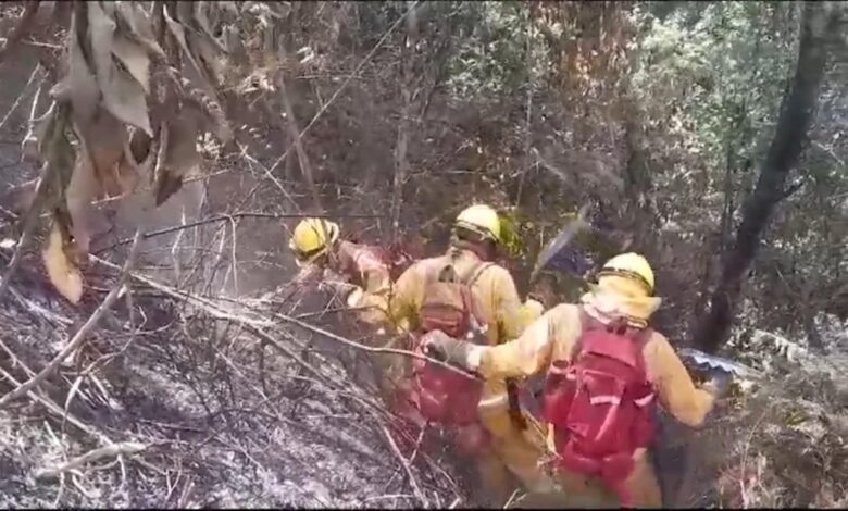Incendio arrasa parque arqueológico de Machu Picchu sin causar daños en patrimonio