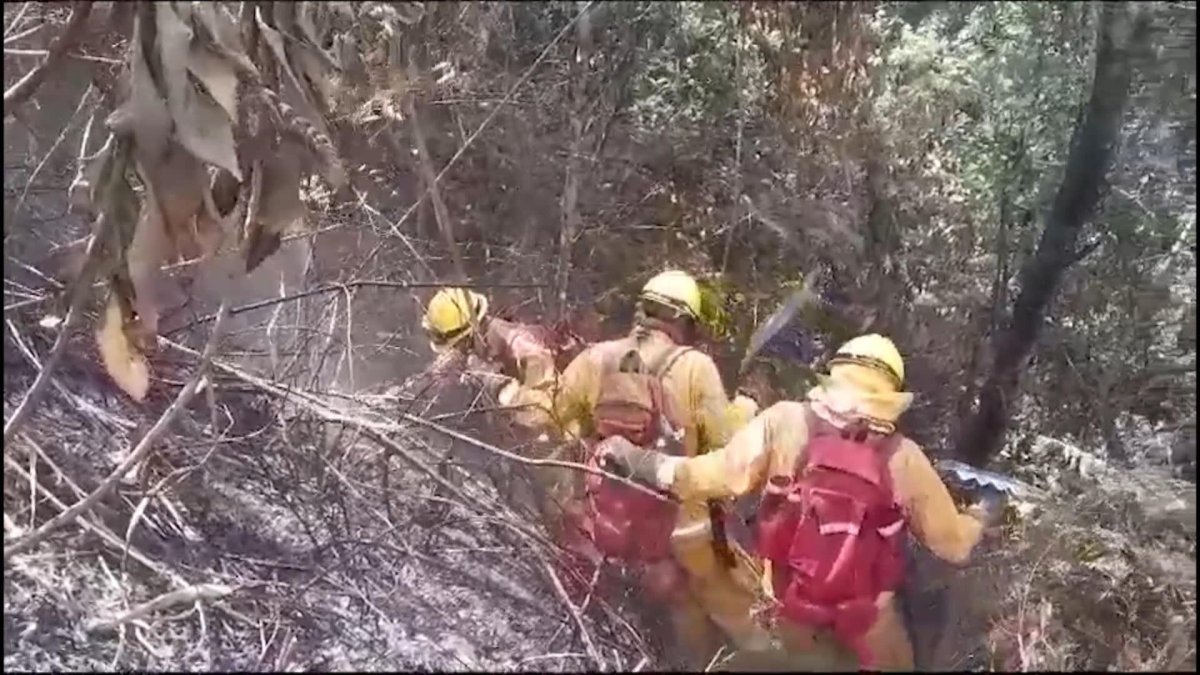 Incendio arrasa parque arqueológico de Machu Picchu sin causar daños en patrimonio