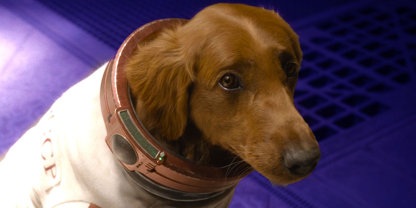 James Gunn saboteó accidentalmente a 1 actor de Guardianes de la Galaxia Vol 3 en el set