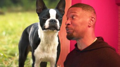 Jamie Foxx y Will Ferrell obtienen un vulgar AF grabando el diálogo de Strays en el tráiler de BTS