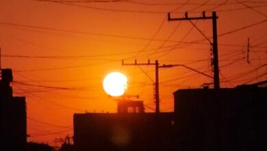 Julio, el mes más caluroso en el planeta desde que hay registro: OMM