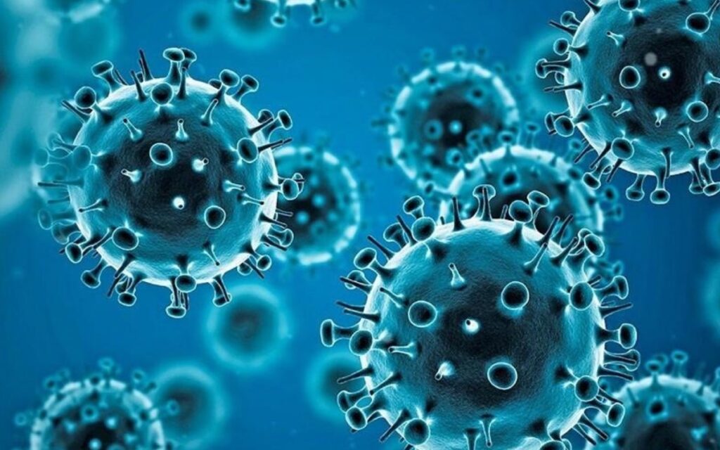 La mayor parte de los países han dejado de comunicar muertes por Covid, reclama la OMS