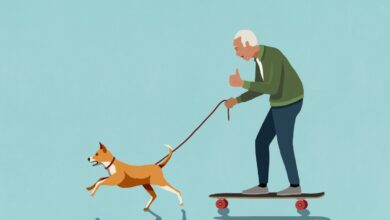Las startups no son (solo) un juego de jóvenes