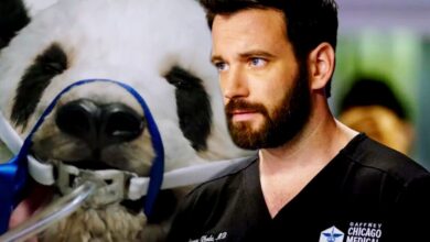 "Making Sh*t Up": médico de la vida real está horrorizado por el episodio de Chicago Med sobre la cirugía del corazón de Panda