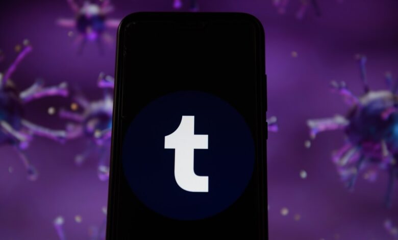 Matt Mullenweg, director ejecutivo de Automattic, habla del futuro de Tumblr, con opciones algorítmicas, mejoras de inteligencia artificial y más