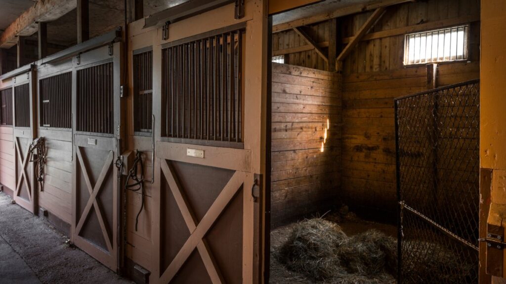 Mueren 26 caballos tras incendiarse un establo en Georgia