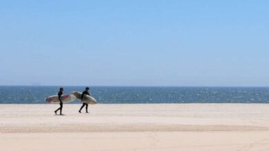 NY: Cierra una de sus playas más icónicas por el ataque de un tiburón