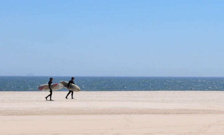 NY: Cierra una de sus playas más icónicas por el ataque de un tiburón