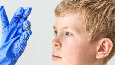 Niño encuentra en Alemania moneda romana con 1800 años de antigüedad
