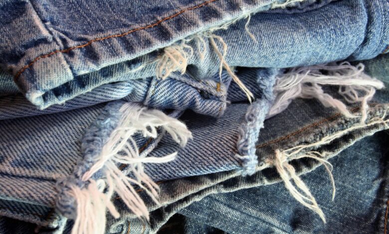 Pliegues BlueJeans