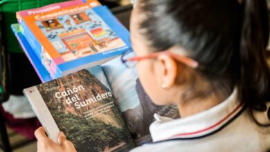 Redim pide despolitizar debate sobre libros de SEP