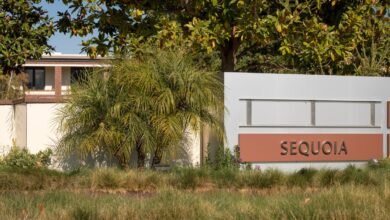 Sequoia Capital recorta fondos de ecosistemas criptográficos en más del 50 % a medida que continúa reduciéndose