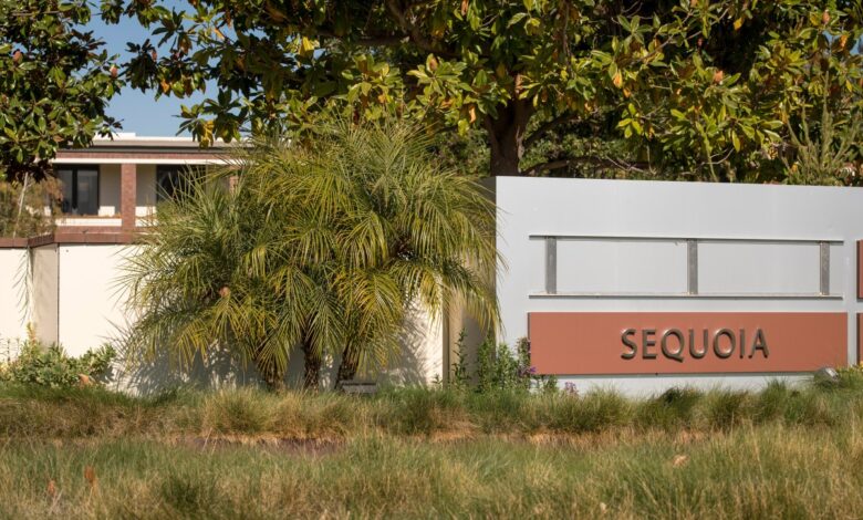 Sequoia Capital recorta fondos de ecosistemas criptográficos en más del 50 % a medida que continúa reduciéndose
