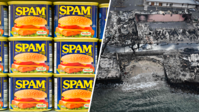 Spam dona 264,000 latas de comida a las víctimas de Hawaii