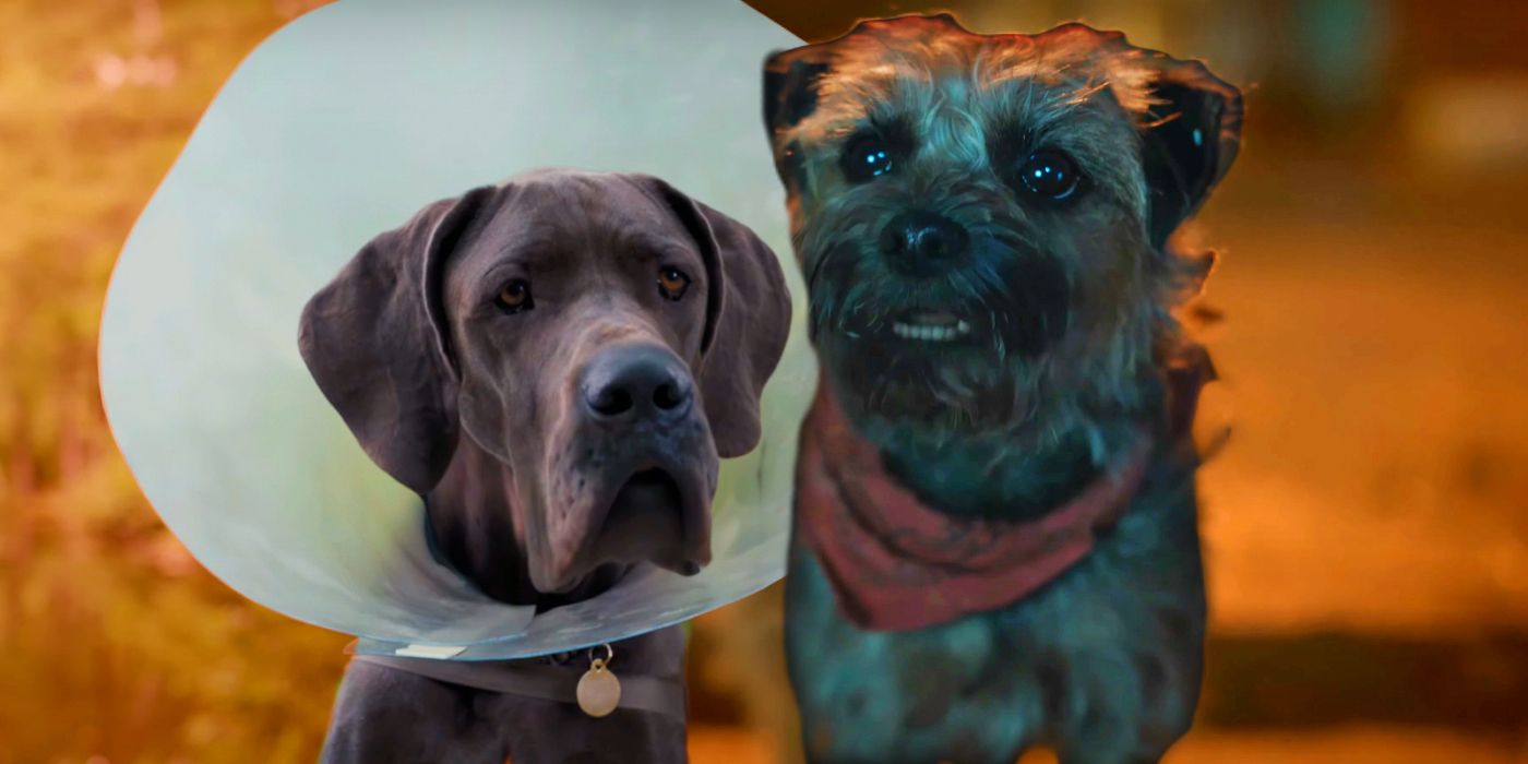 Strays fracasa en el fin de semana inaugural, continuando con una decepcionante tendencia de taquilla para las comedias con clasificación R