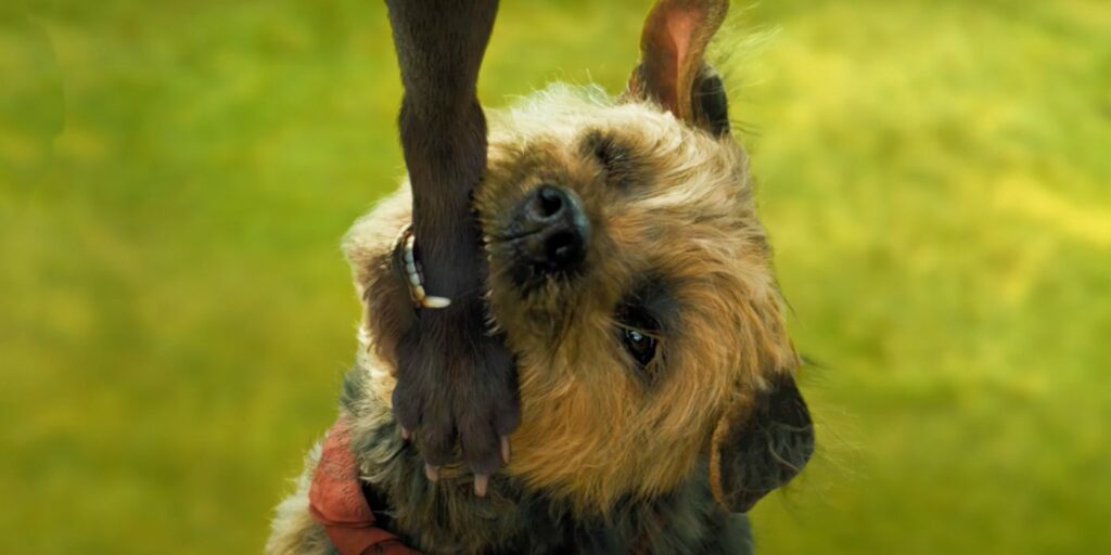 Strays termina con la venganza de Reggie en Doug explicada por el director