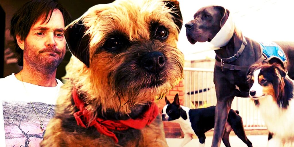 Strays tiene un mensaje sorprendentemente conmovedor sobre las relaciones abusivas