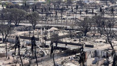 Suman 89 muertos por incendios en Maui, Hawái, y son los más letales del último siglo en EU