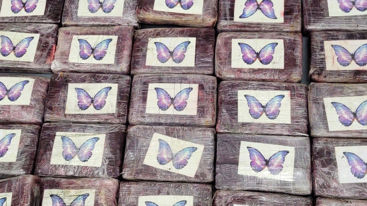 alcaldesa de Tampa halla cocaína en sus vacaciones